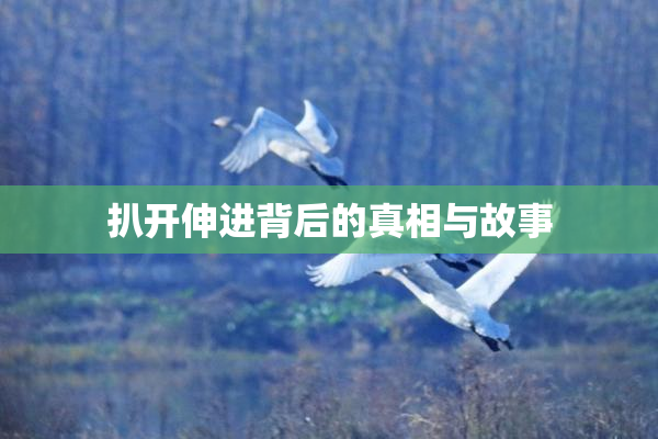扒开伸进背后的真相与故事