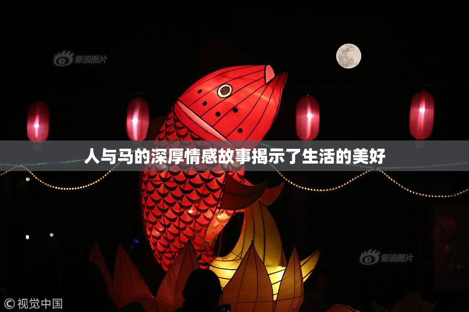 人与马的深厚情感故事揭示了生活的美好