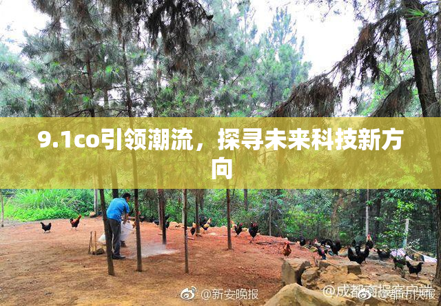 9.1co引领潮流，探寻未来科技新方向
