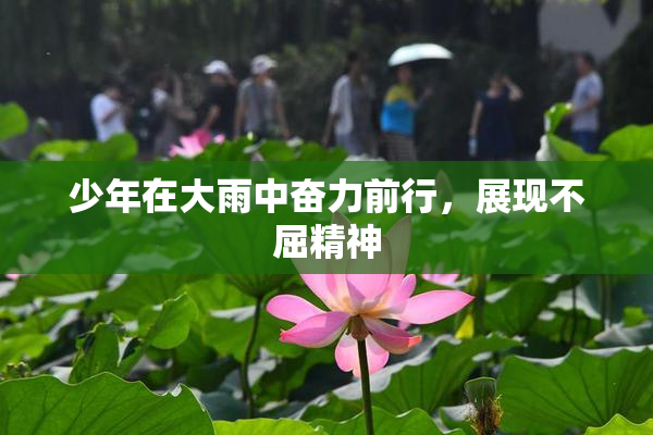 少年在大雨中奋力前行，展现不屈精神