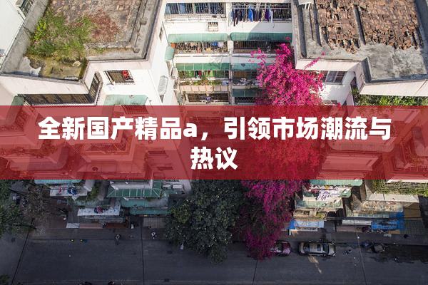全新国产精品a，引领市场潮流与热议