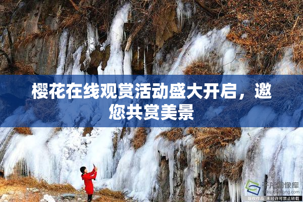樱花在线观赏活动盛大开启，邀您共赏美景