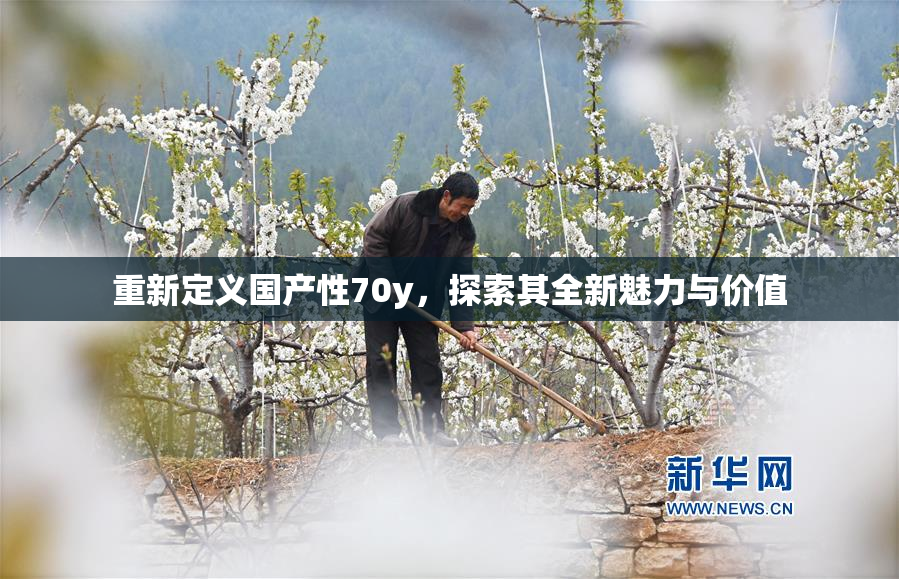 重新定义国产性70y，探索其全新魅力与价值