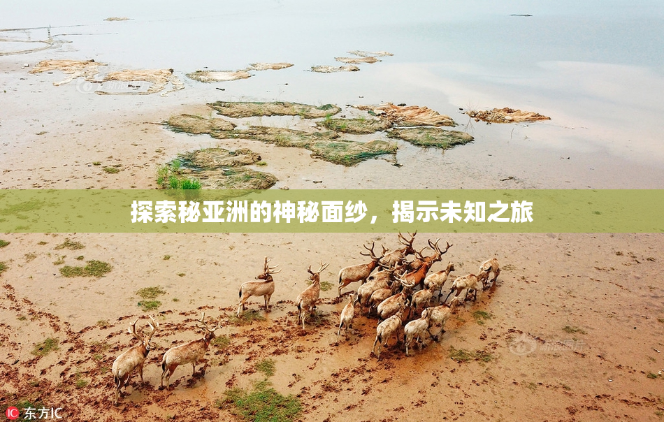 探索秘亚洲的神秘面纱，揭示未知之旅