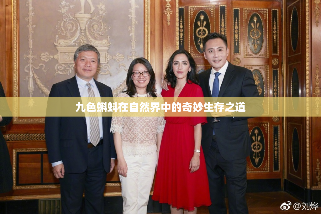 九色蝌蚪在自然界中的奇妙生存之道