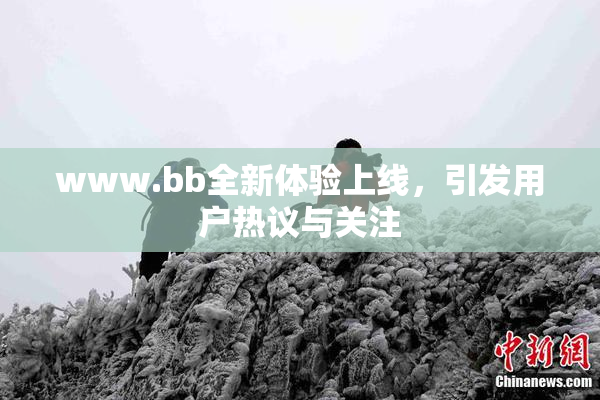 www.bb全新体验上线，引发用户热议与关注