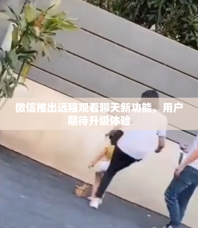 微信推出远程观看聊天新功能，用户期待升级体验
