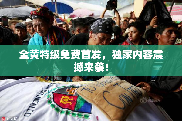 全黄特级免费首发，独家内容震撼来袭！