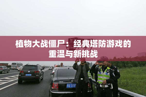 植物大战僵尸：经典塔防游戏的重温与新挑战