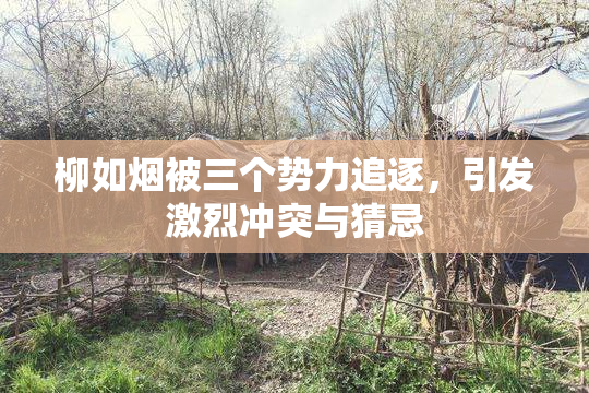 柳如烟被三个势力追逐，引发激烈冲突与猜忌