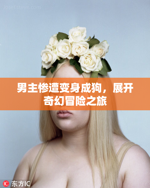 男主惨遭变身成狗，展开奇幻冒险之旅