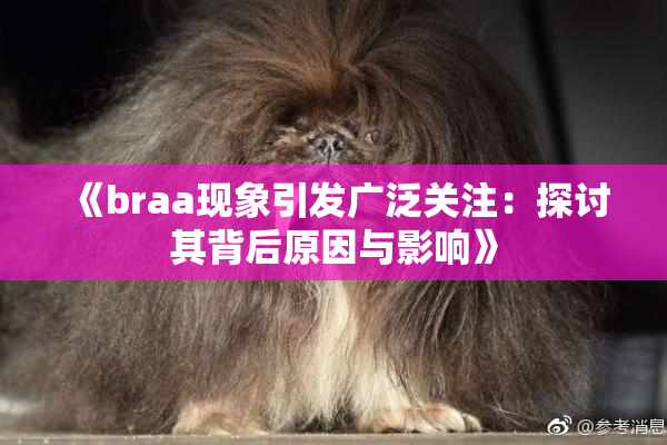 《braa现象引发广泛关注：探讨其背后原因与影响》