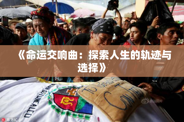 《命运交响曲：探索人生的轨迹与选择》