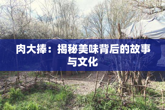 肉大捧：揭秘美味背后的故事与文化