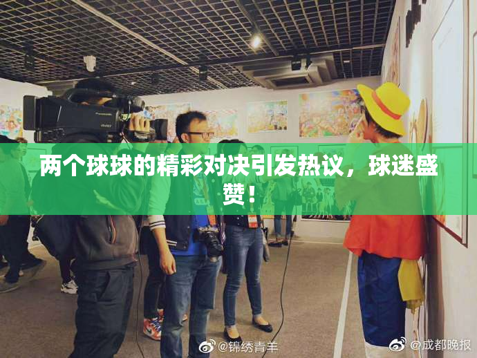 两个球球的精彩对决引发热议，球迷盛赞！