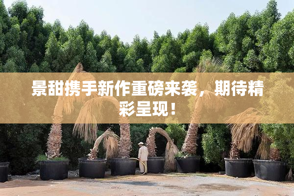 景甜携手新作重磅来袭，期待精彩呈现！