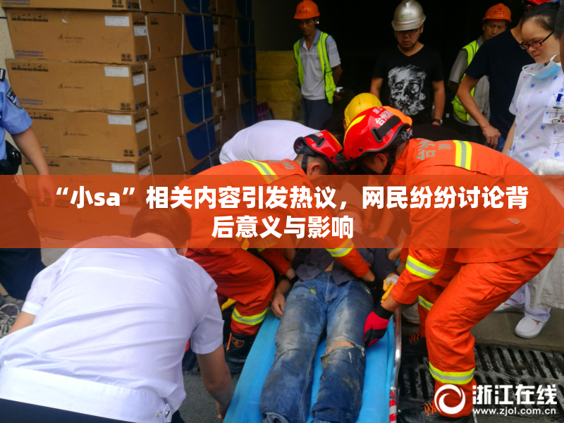 “小sa”相关内容引发热议，网民纷纷讨论背后意义与影响