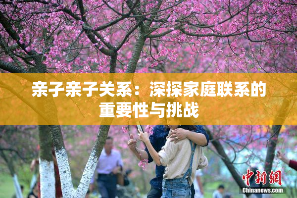亲孑亲子关系：深探家庭联系的重要性与挑战