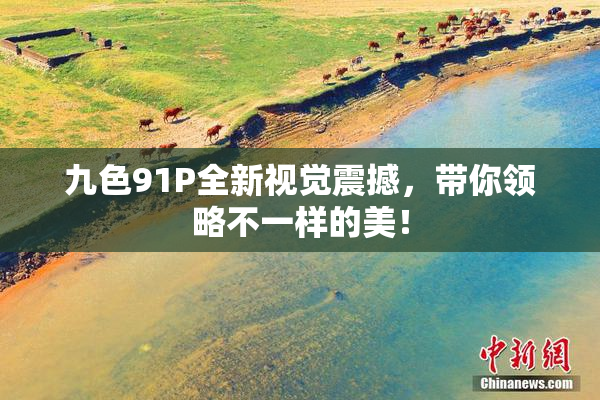九色91P全新视觉震撼，带你领略不一样的美！