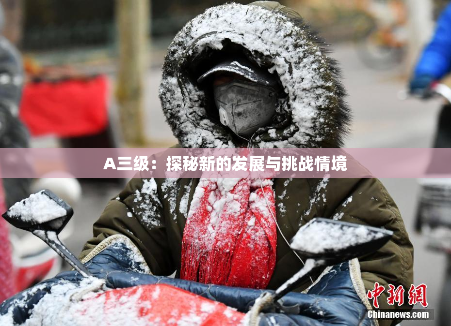 A三级：探秘新的发展与挑战情境