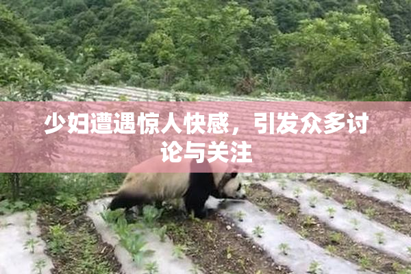 少妇遭遇惊人快感，引发众多讨论与关注