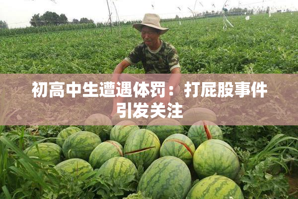 初高中生遭遇体罚：打屁股事件引发关注