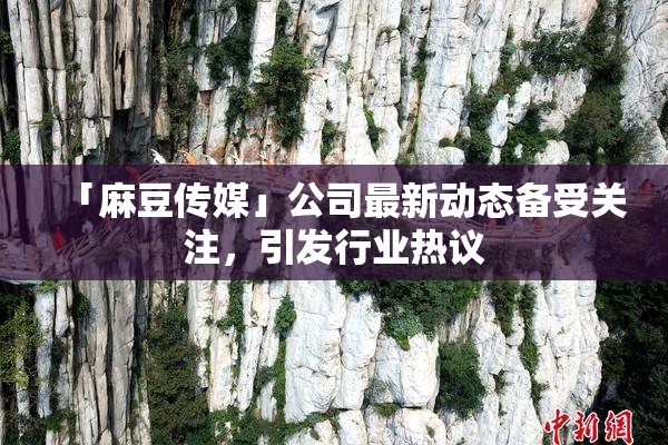 「麻豆传媒」公司最新动态备受关注，引发行业热议