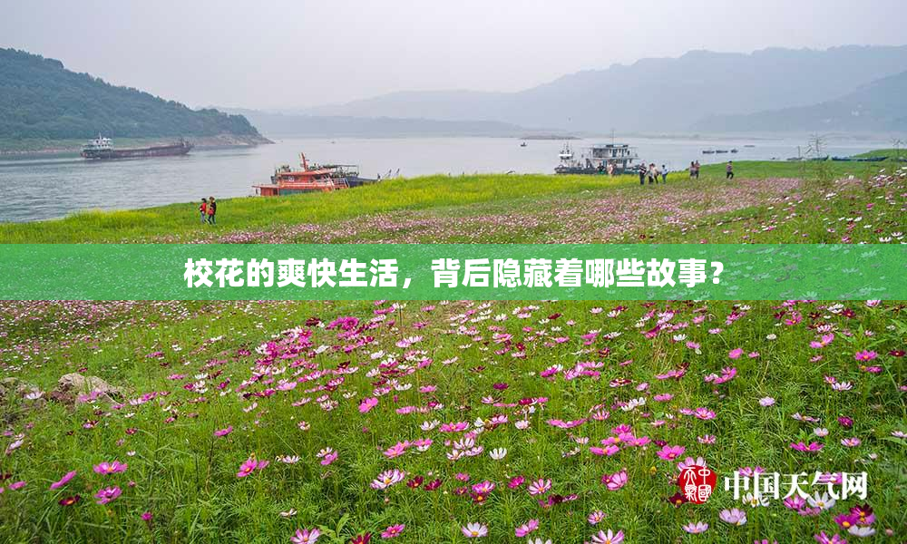 校花的爽快生活，背后隐藏着哪些故事？