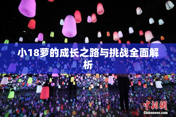 小18萝的成长之路与挑战全面解析
