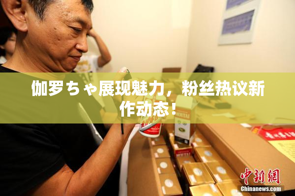 伽罗ちゃ展现魅力，粉丝热议新作动态！