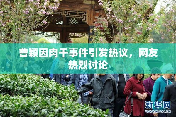 曹颖因肉干事件引发热议，网友热烈讨论