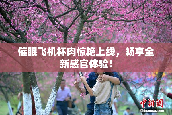 催眠飞机杯肉惊艳上线，畅享全新感官体验！