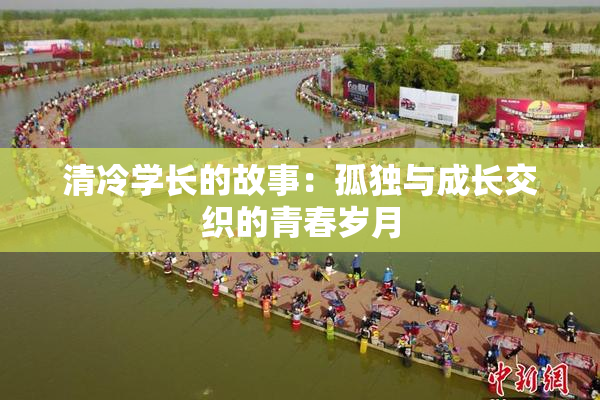 清冷学长的故事：孤独与成长交织的青春岁月