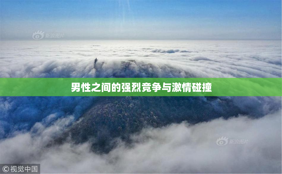 男性之间的强烈竞争与激情碰撞