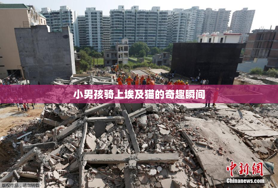 小男孩骑上埃及猫的奇趣瞬间