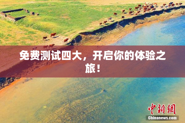 免费测试四大，开启你的体验之旅！