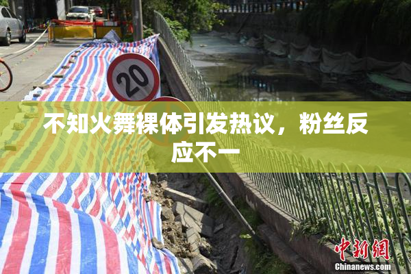 不知火舞裸体引发热议，粉丝反应不一