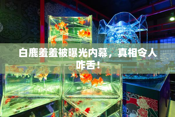 白鹿羞羞被曝光内幕，真相令人咋舌！