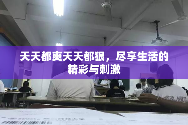 天天都爽天天都狠，尽享生活的精彩与刺激