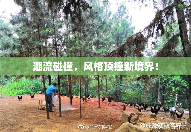 潮流碰撞，风格顶撞新境界！