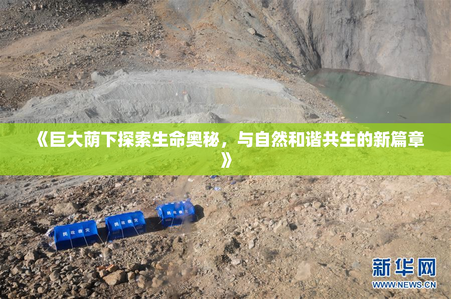 《巨大荫下探索生命奥秘，与自然和谐共生的新篇章》