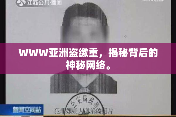 WWW亚洲盗缴重，揭秘背后的神秘网络。
