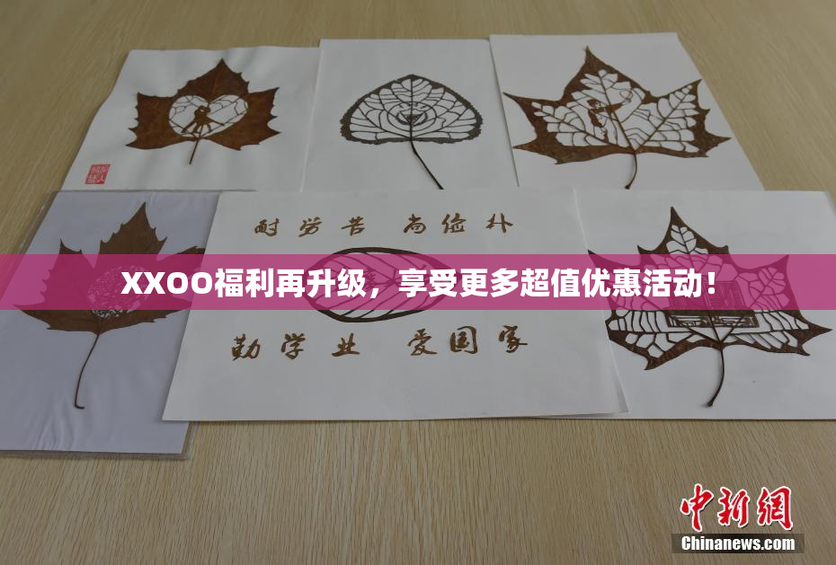 XXOO福利再升级，享受更多超值优惠活动！