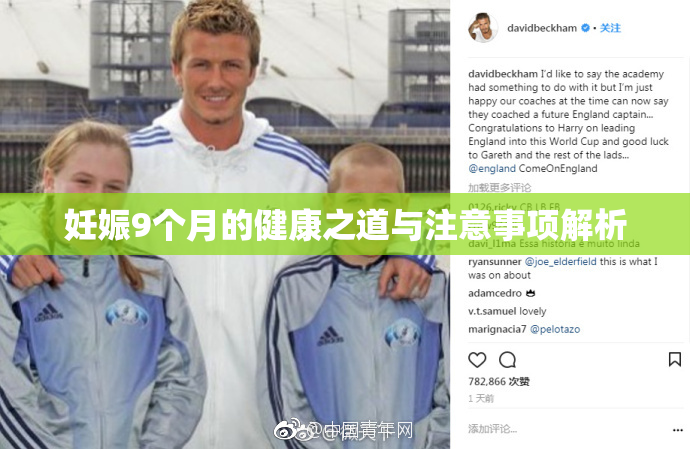 妊娠9个月的健康之道与注意事项解析