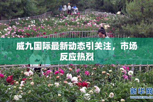 威九国际最新动态引关注，市场反应热烈