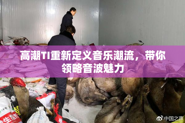 高潮TI重新定义音乐潮流，带你领略音波魅力