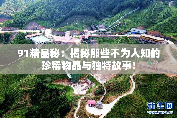 91精品秘：揭秘那些不为人知的珍稀物品与独特故事！