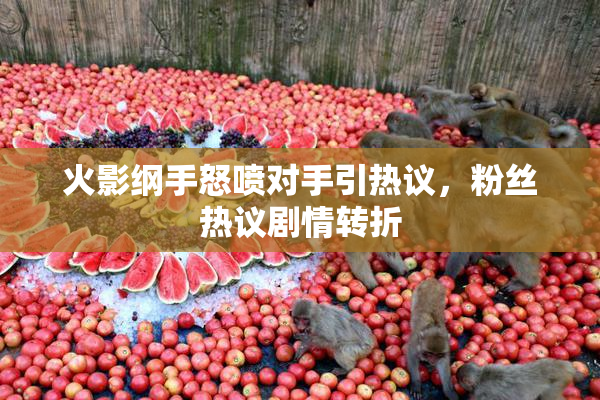 火影纲手怒喷对手引热议，粉丝热议剧情转折