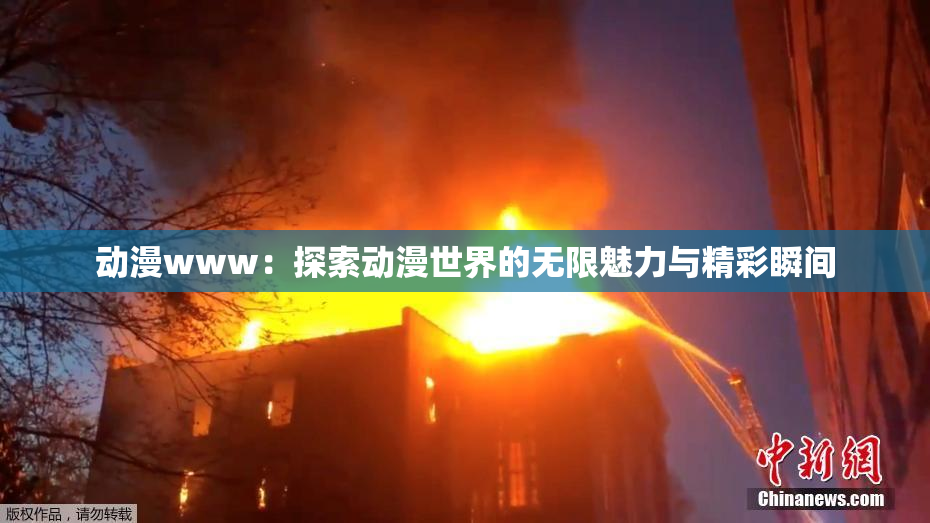 动漫www：探索动漫世界的无限魅力与精彩瞬间