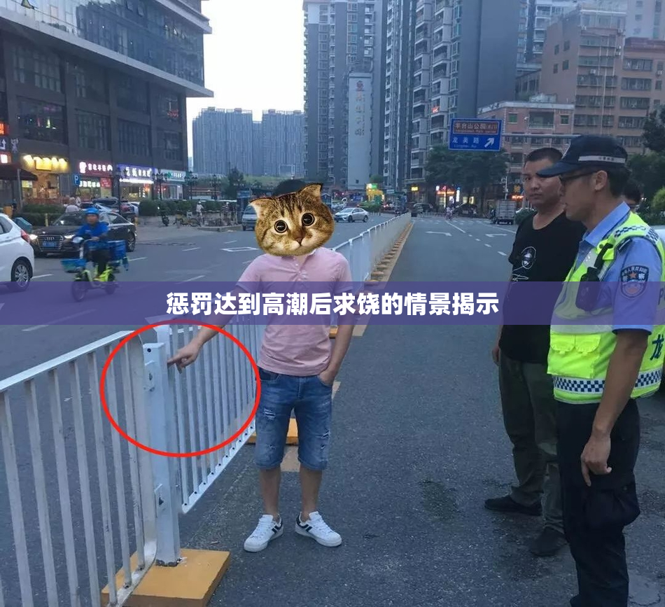 惩罚达到高潮后求饶的情景揭示